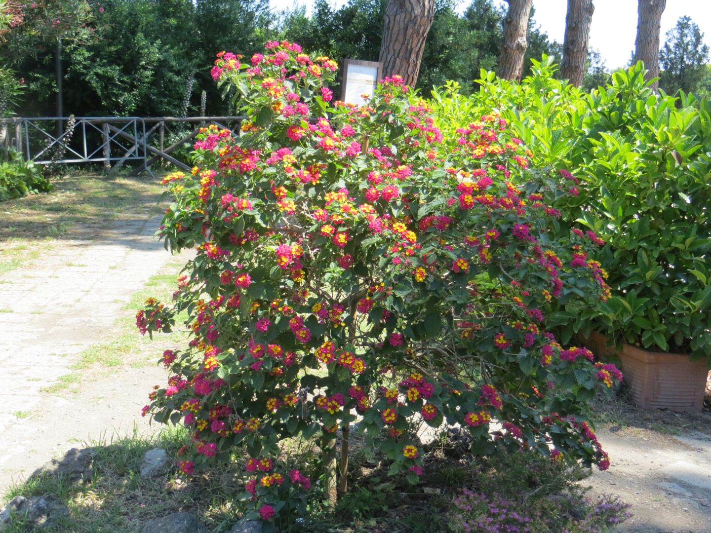 Помпеи и Неаполь. Июнь 2013