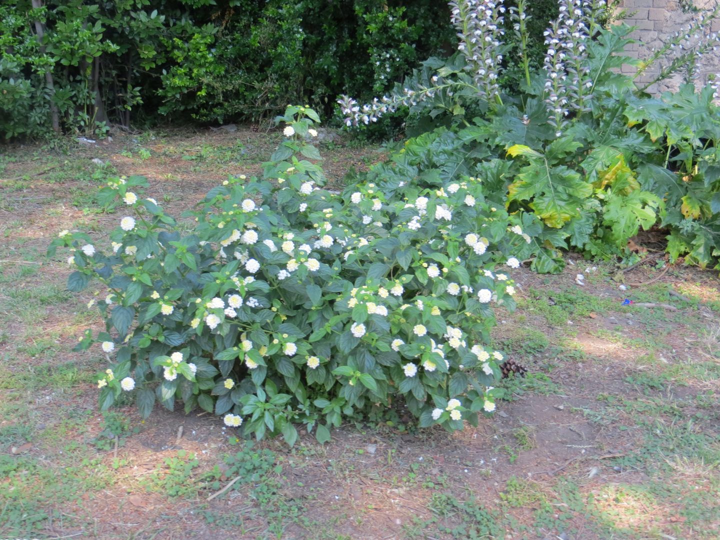 Помпеи и Неаполь. Июнь 2013