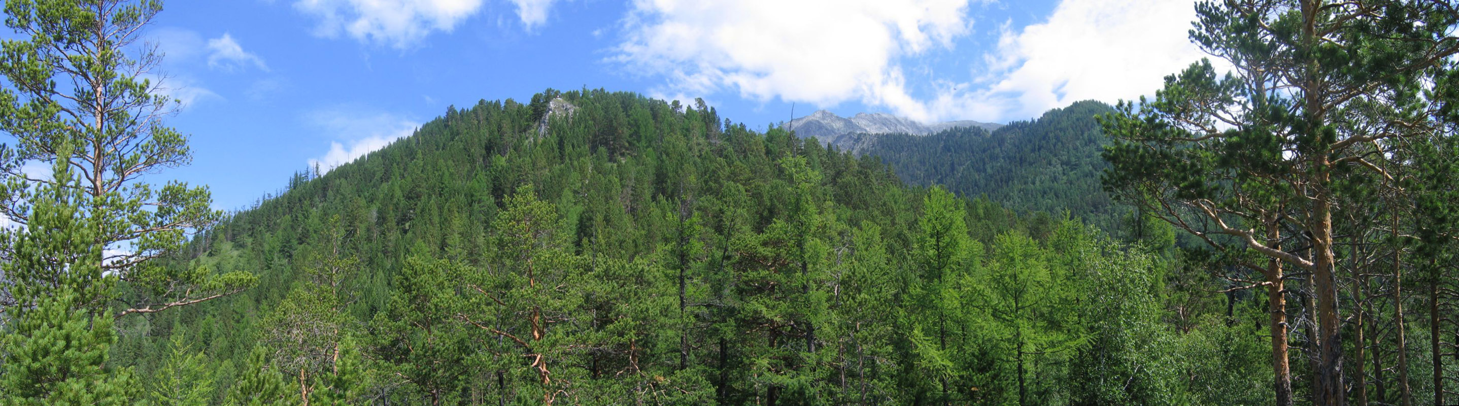 Панорамы
