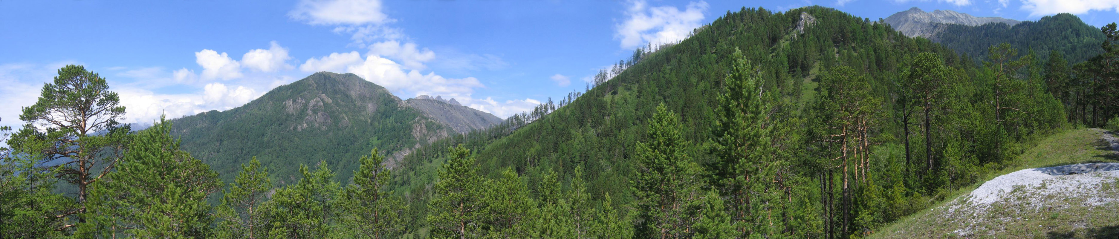 Панорамы