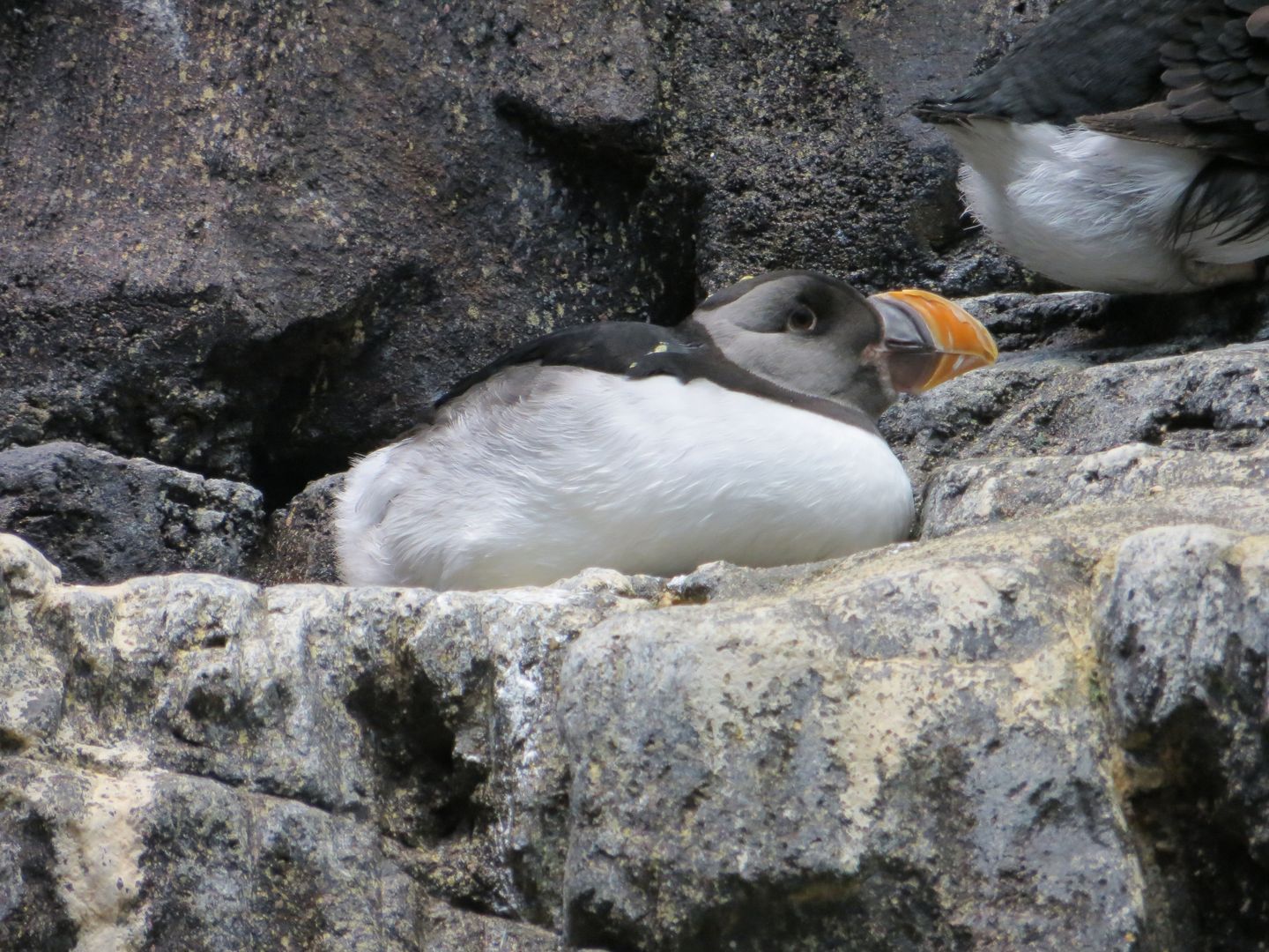 Фотографии Португалии. Лиссабон. Январь 2014
