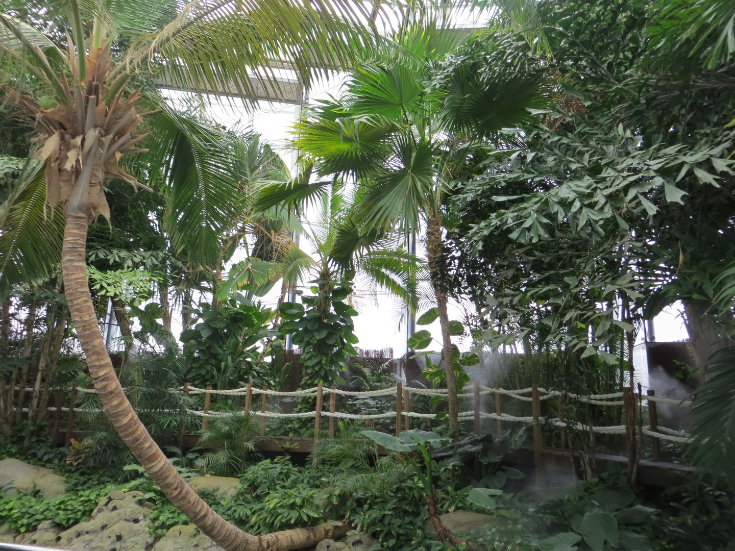 Фотографии Португалии. Лиссабон. Январь 2014