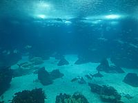 Фотографии Португалии. Лиссабон. Январь 2014