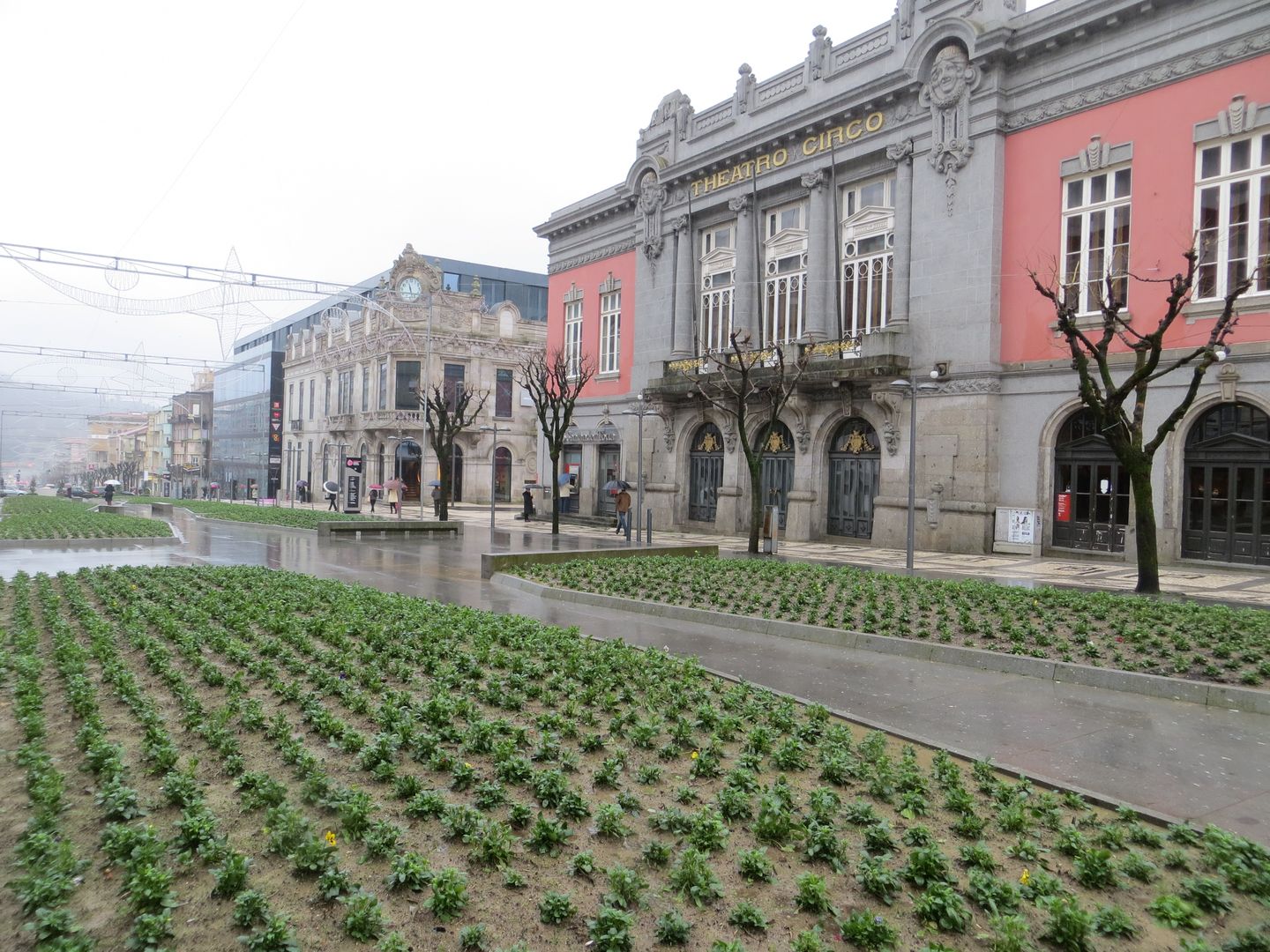 Фотографии Португалии. Брага - Гимараэш - Коимбра - Томар. Январь 2014