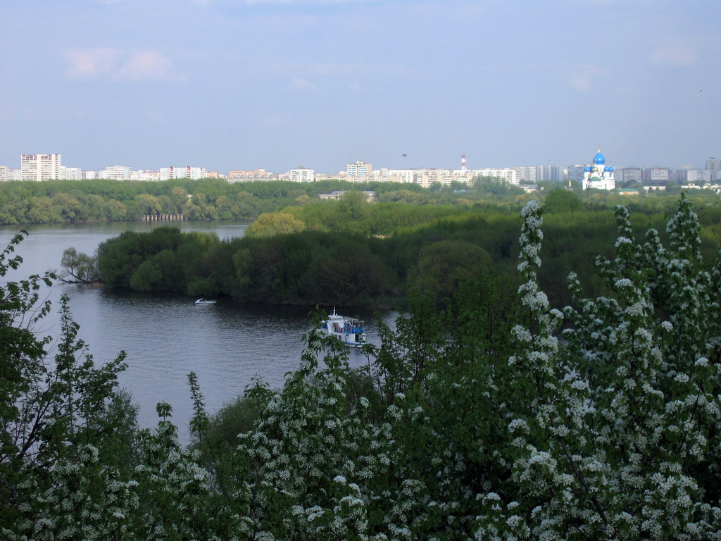 Чемпионат мира по скульптуре из песка 2009