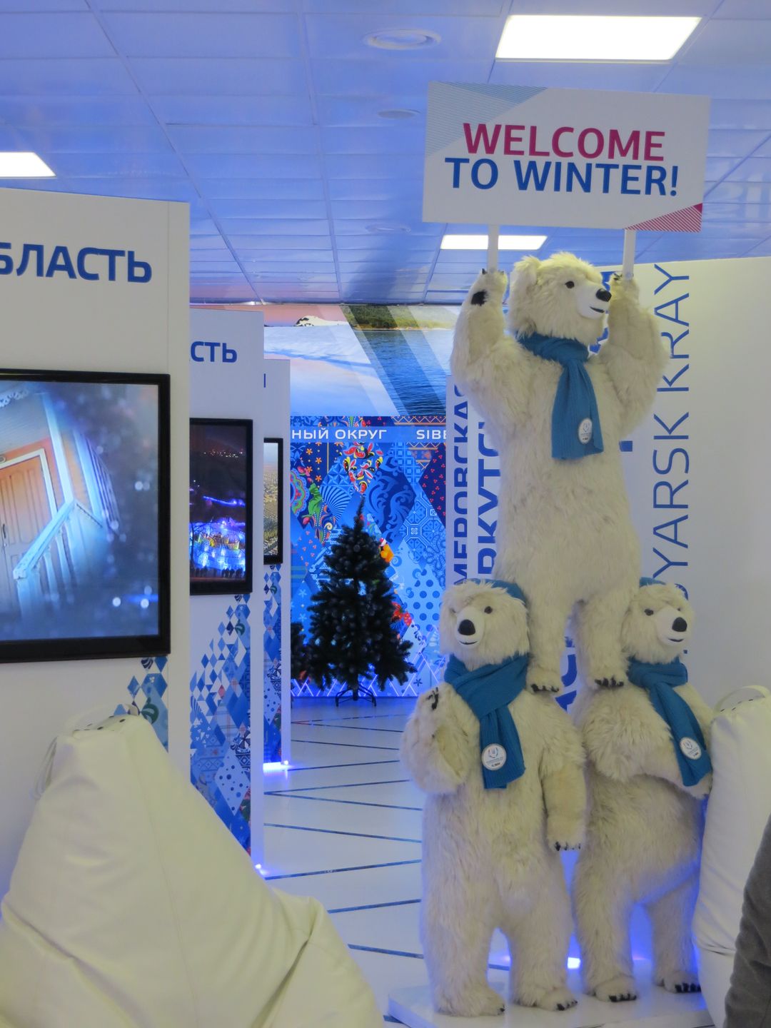 Олимпиада в Сочи. Февраль 2014. Прибрежный кластер