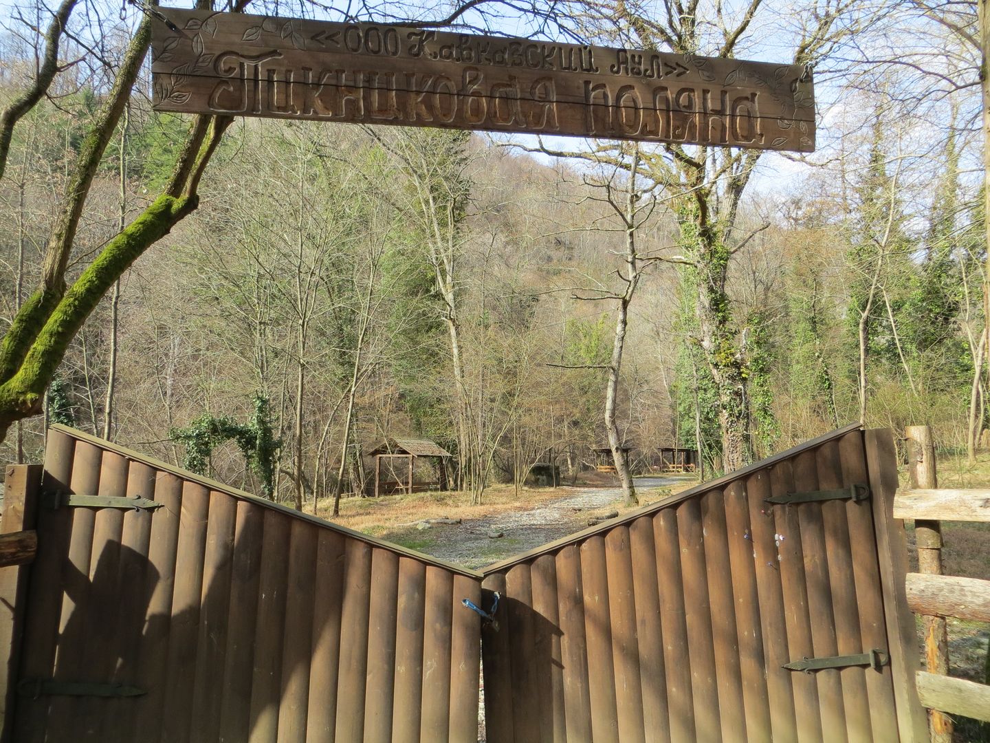 Олимпиада в Сочи. Февраль 2014. Сочи, Адлер, Агурское ущелье, гора Ахун