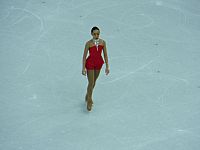 Олимпиада в Сочи. Февраль 2014. Хоккей, фигурное катание, шорт-трек