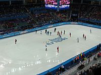 Олимпиада в Сочи. Февраль 2014. Хоккей, фигурное катание, шорт-трек