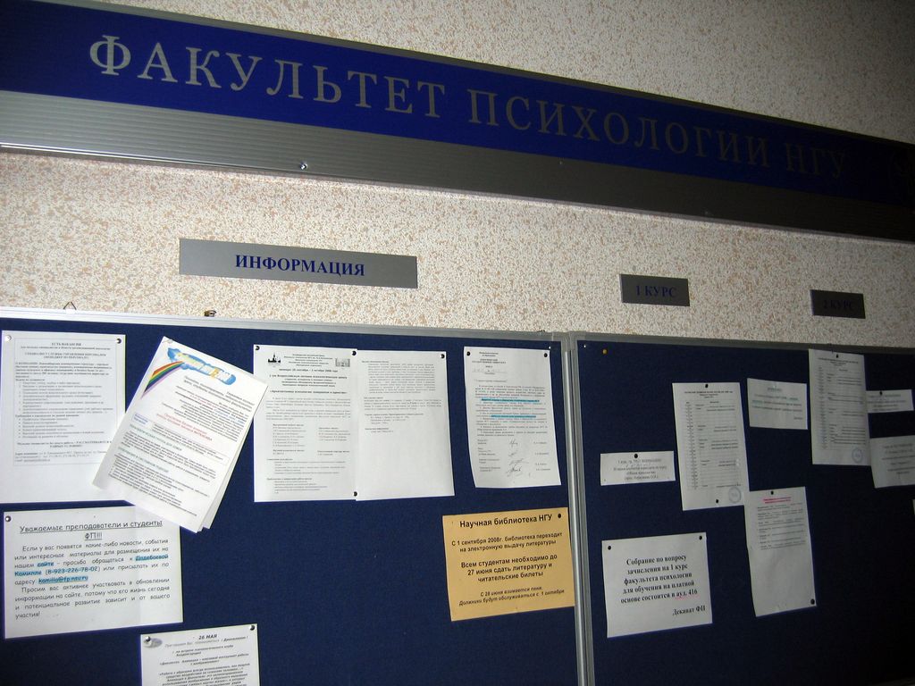 Свадьба Жени и Юли