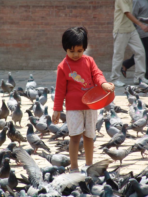 tibet12.jpg