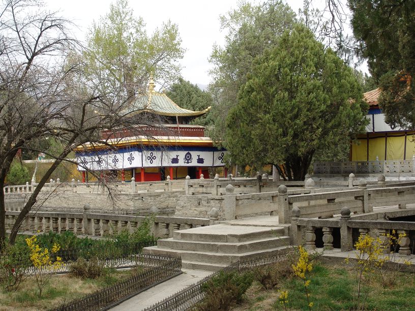 tibet50.jpg
