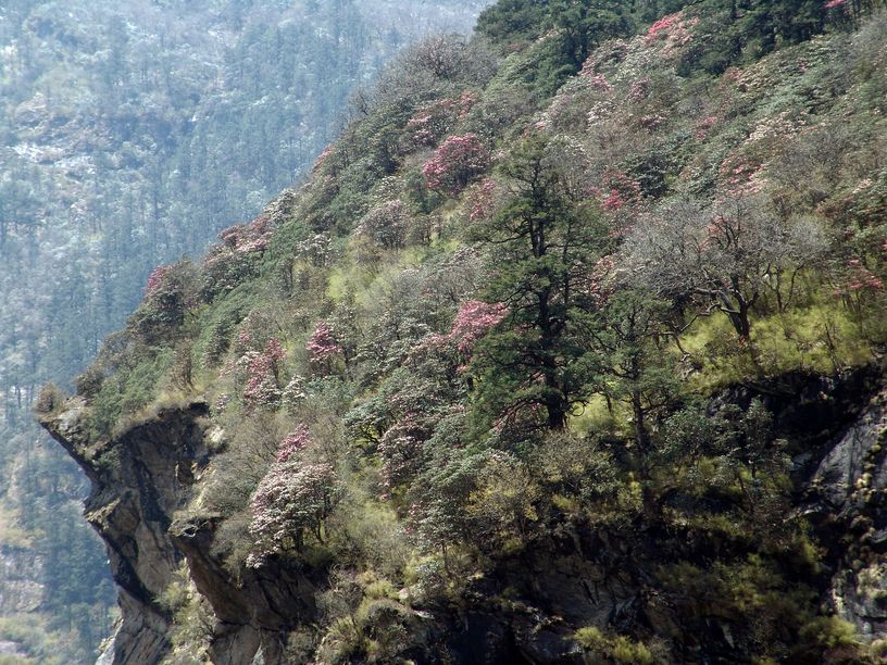 tibet96.jpg