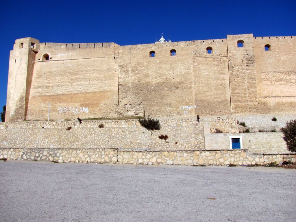 Тунис. Разное. Январь 2011