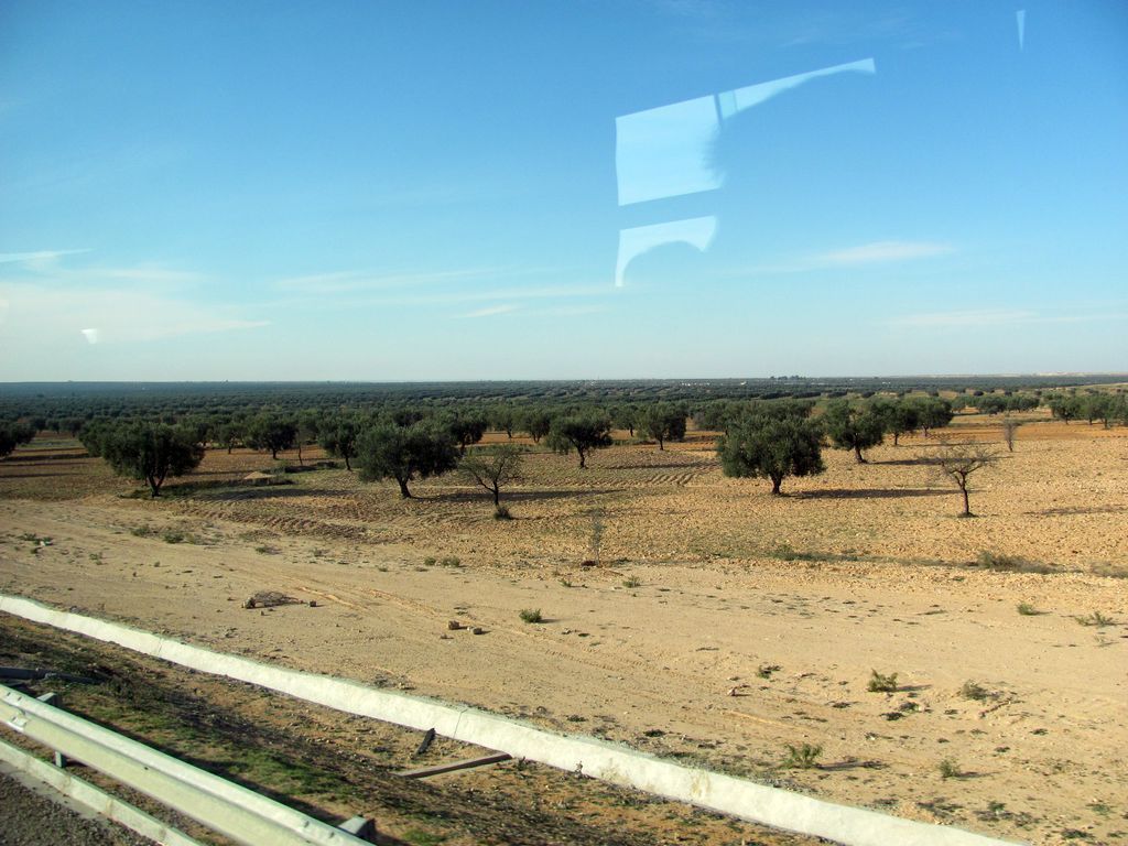 Тунис. Разное. Январь 2011