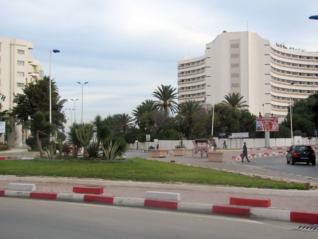 Тунис. Разное. Январь 2011