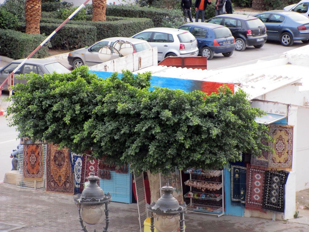 Тунис. Разное. Январь 2011