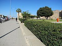 Тунис. Разное. Январь 2011