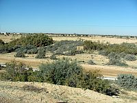 Тунис. Разное. Январь 2011