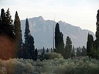 Тунис. Разное. Январь 2011