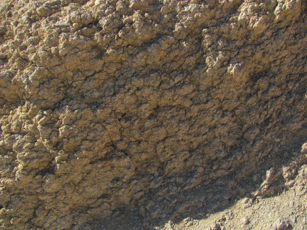 Тунис. Chebika, Атласские горы, Кайруан. Январь 2011