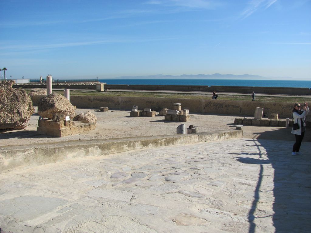 Тунис и Карфаген. Январь 2011