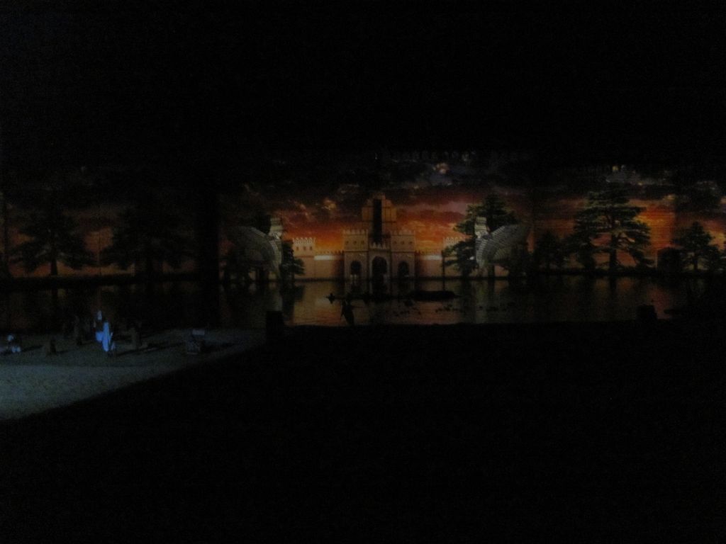 Тунис. Этнографическое шоу. Январь 2011
