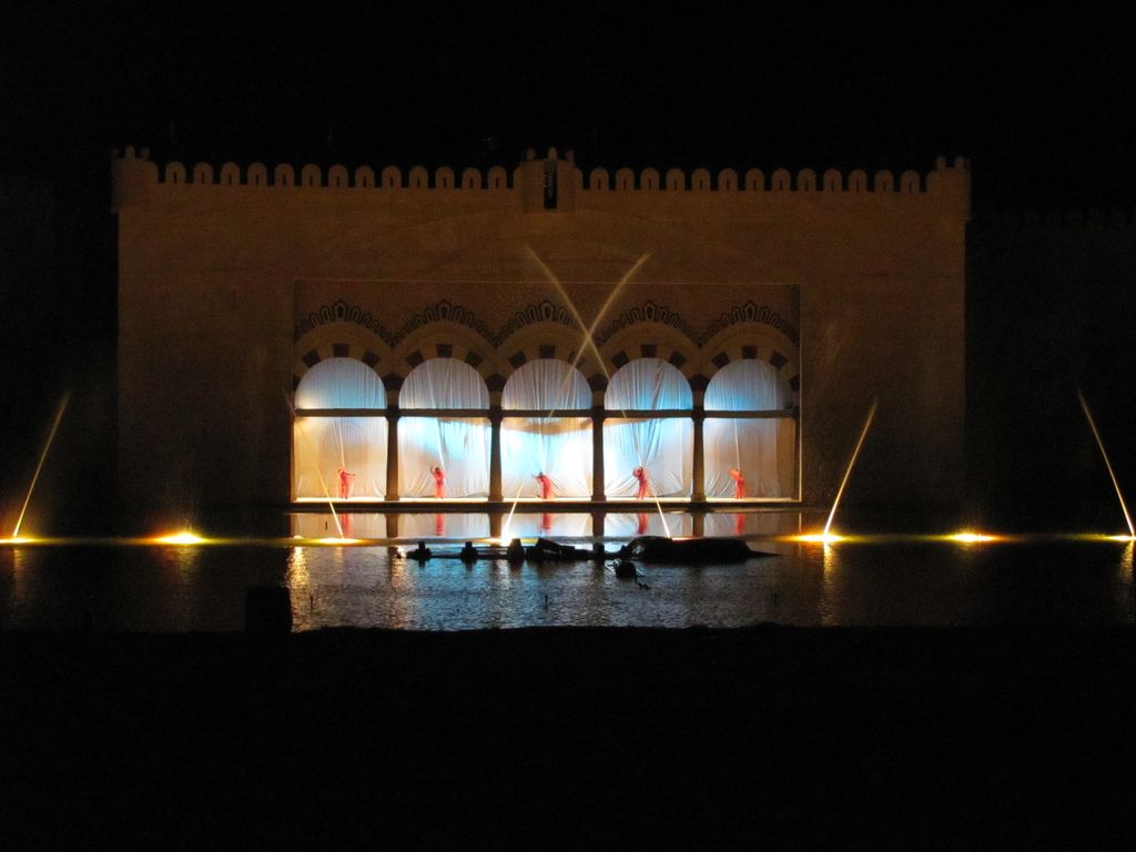 Тунис. Этнографическое шоу. Январь 2011