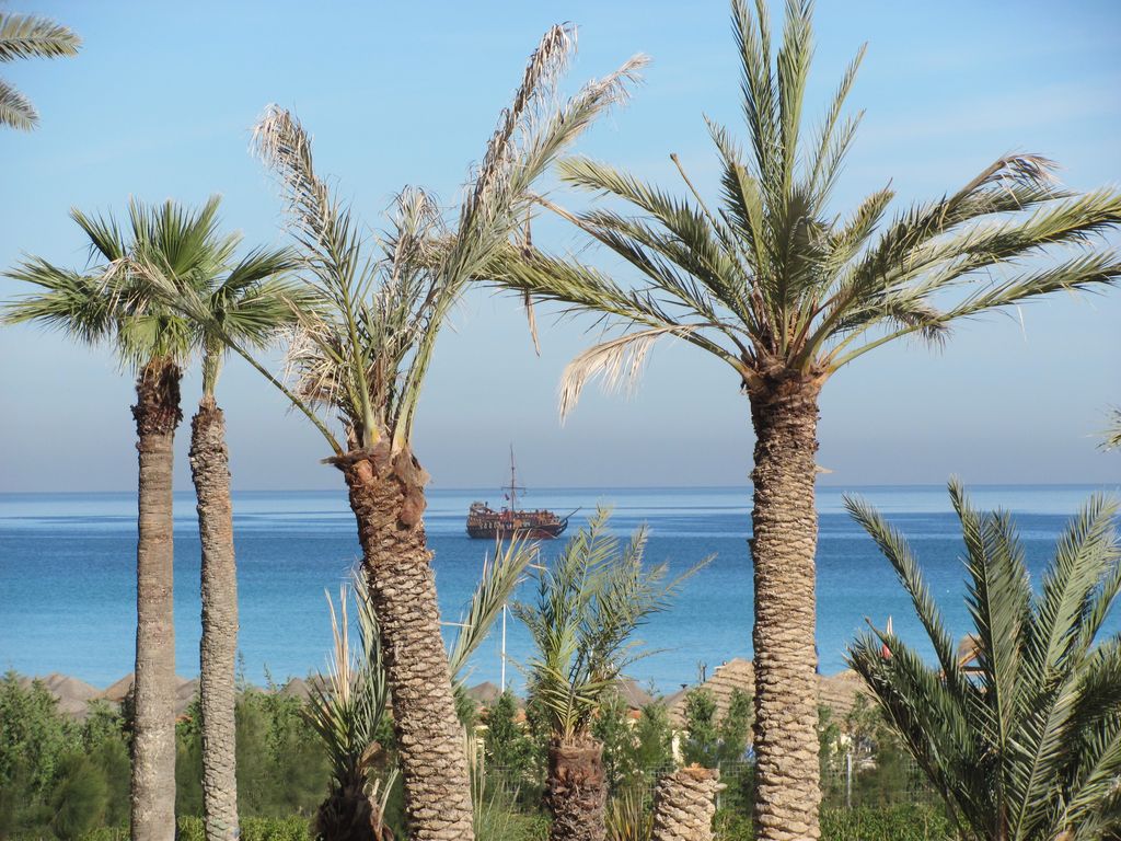 Тунис. Отель Movenpick. Январь 2011