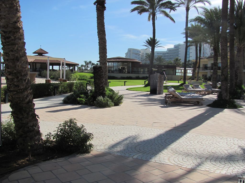 Тунис. Отель Movenpick. Январь 2011