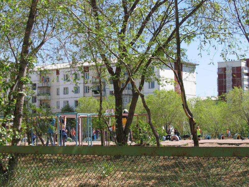 ����-��� 2007