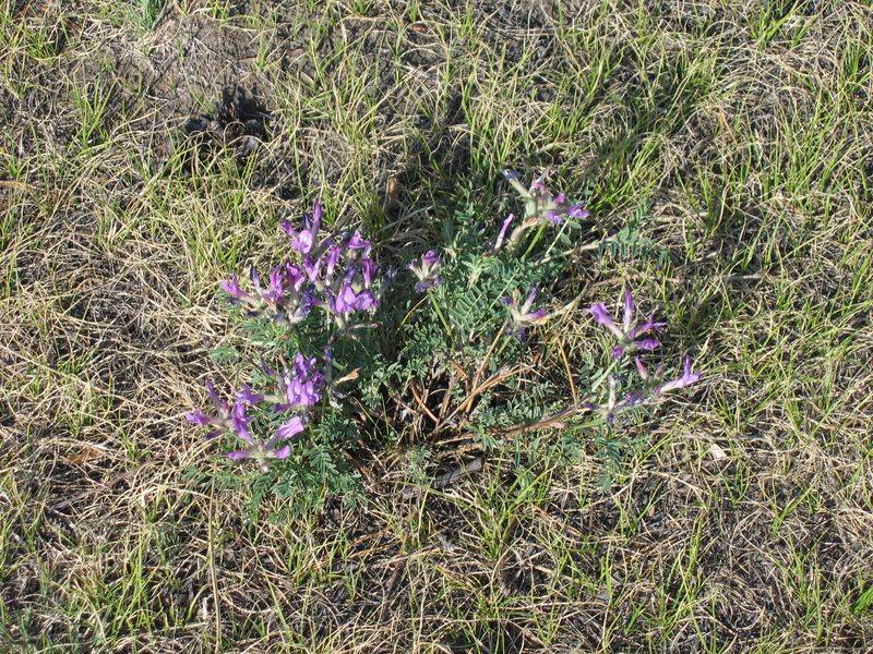 ����-��� 2007