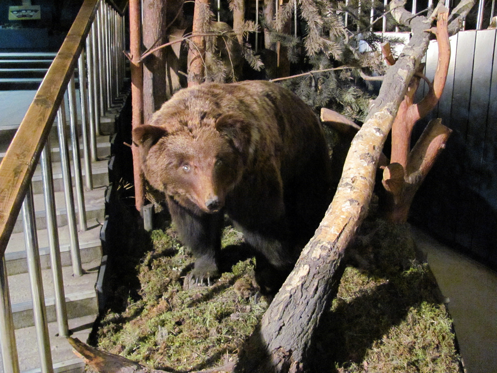 Музей природы Бурятии. Республиканский художественный музей им. Ц.С. Сампилова. Июль 2010
